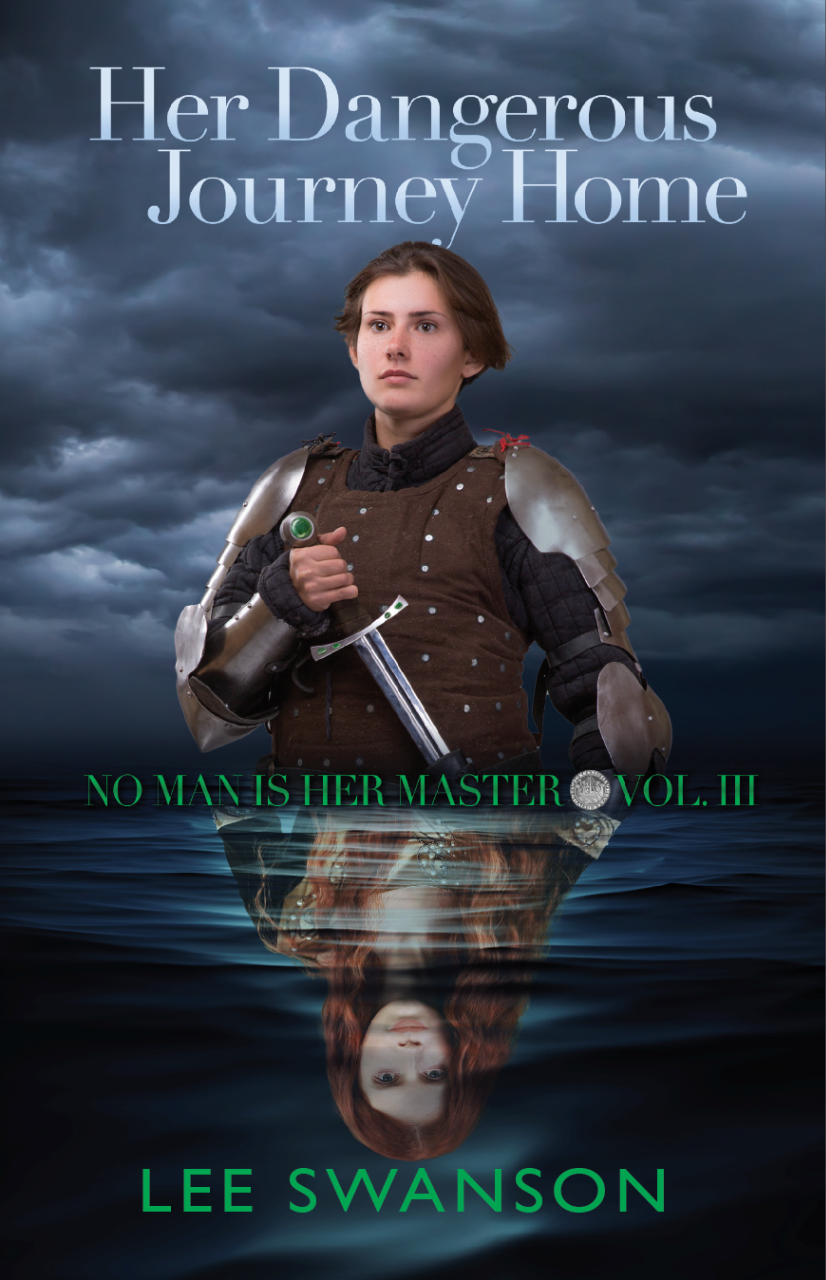 Her Dangerous Journey Home Image